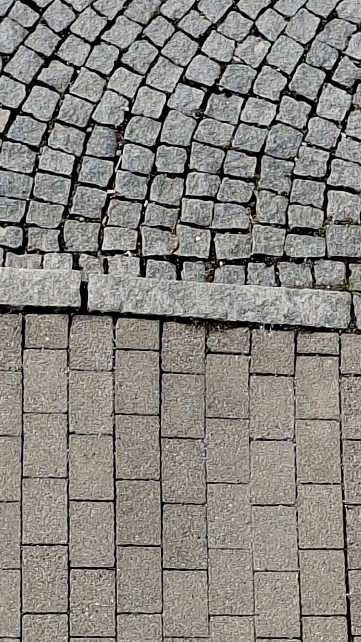 Patterns and Structures 2026